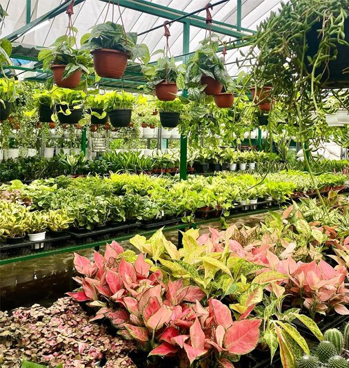 Advanced Dental Technology Background